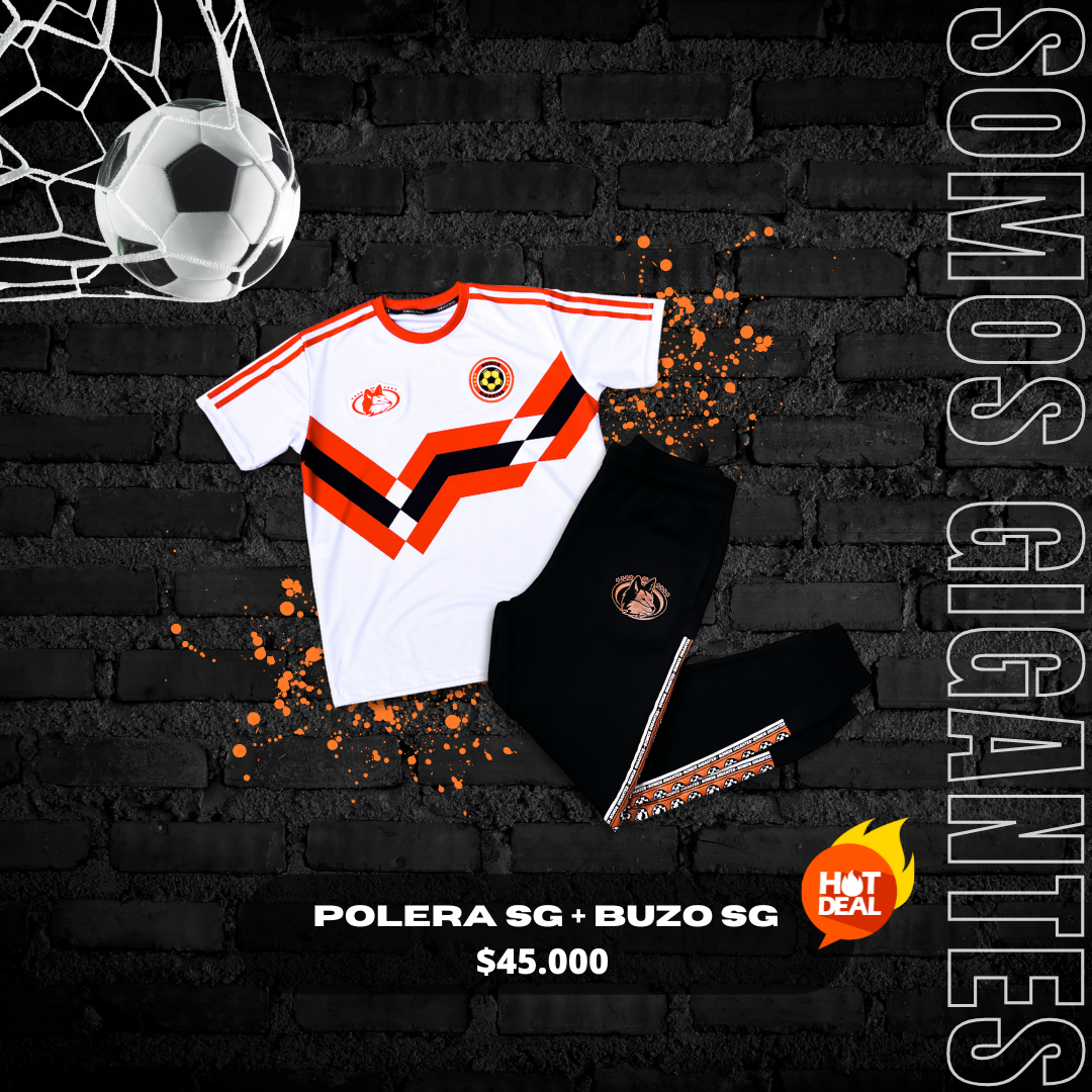 Conjunto Polera + Buzo