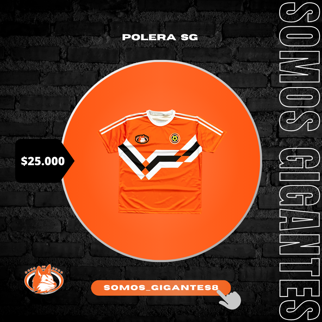 Conjunto Polera + Buzo