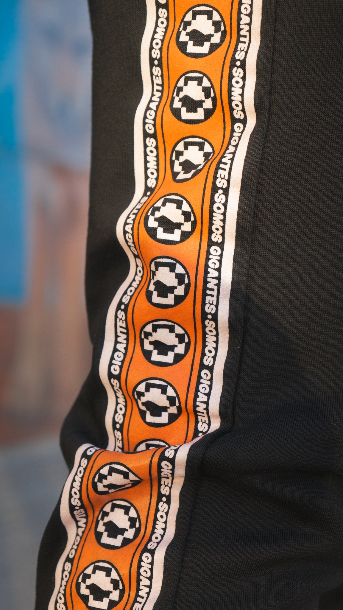 Conjunto Polera + Buzo