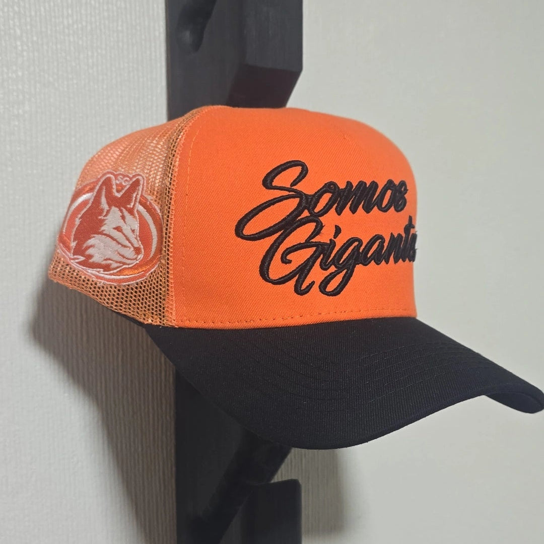 Gorro con malla SG