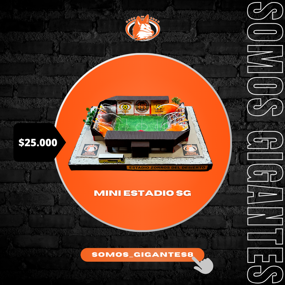 Mini Estadios