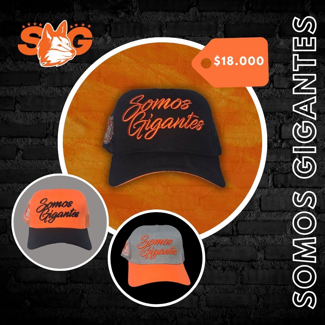 Gorro con malla SG