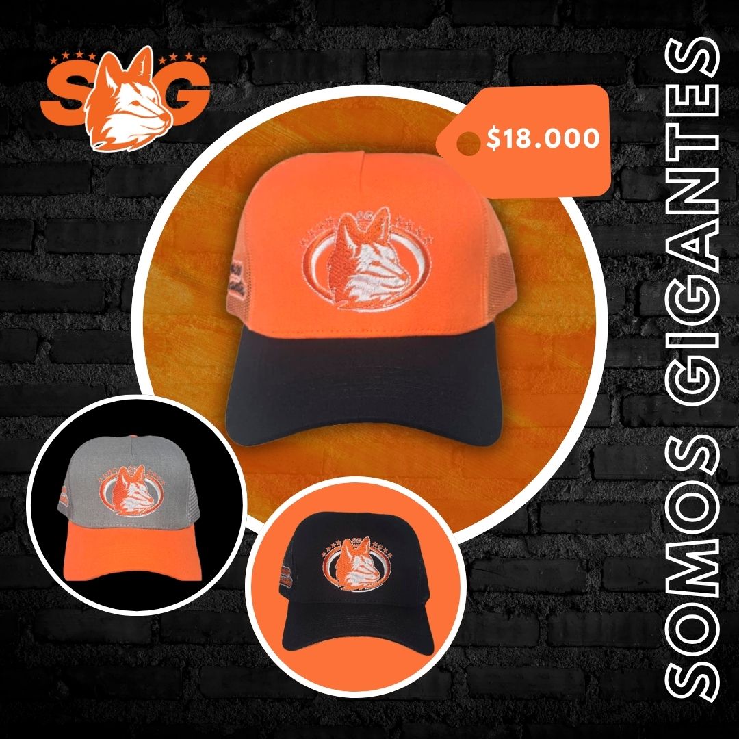 Gorro con malla SG