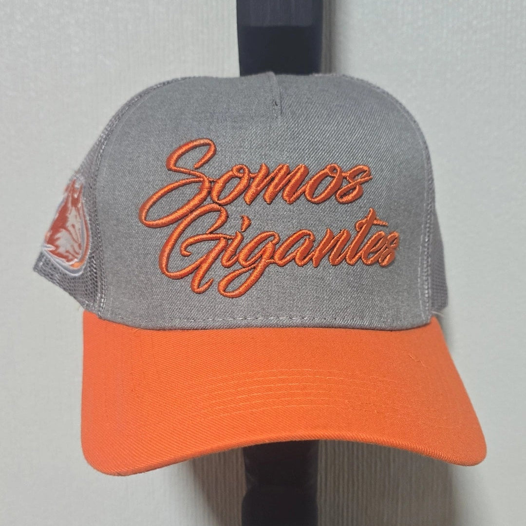 Gorro con malla SG