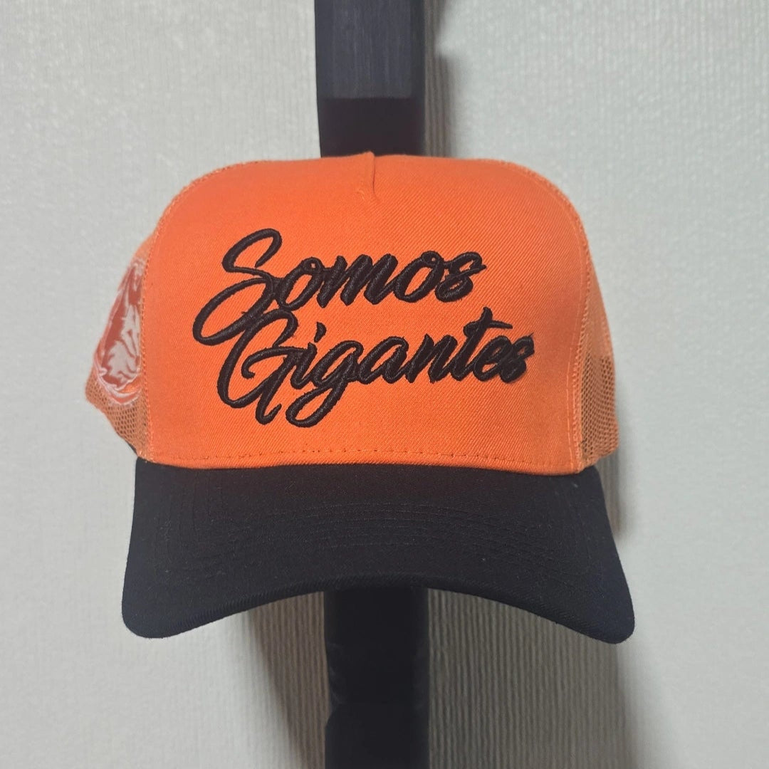 Gorro con malla SG